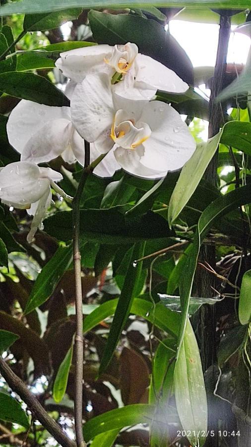 Bela Casa Quartos E Hostel Ilha Grande Екстер'єр фото